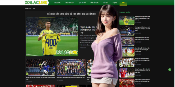 Comprehensive Coverage of Global Football Leagues